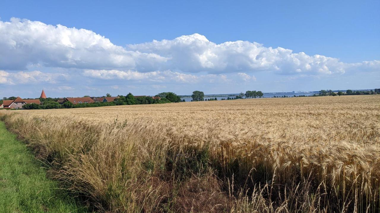 Kirchdorf Ferien Auf Der Insel Poel公寓 外观 照片